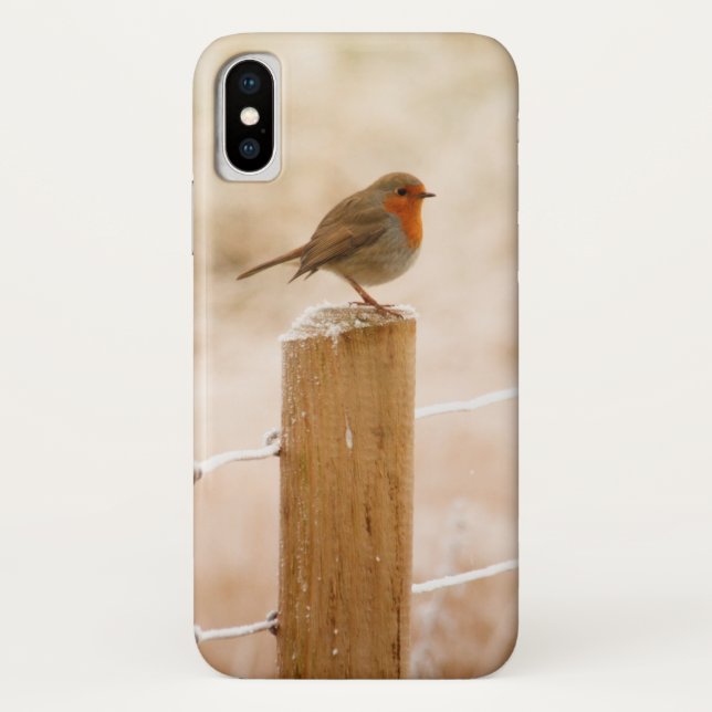 Winter Robin RedBrust Case-Mate iPhone Hülle (Rückseite)