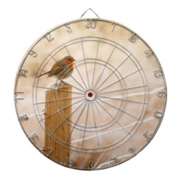 Winter Robin RedBrust Dartscheibe