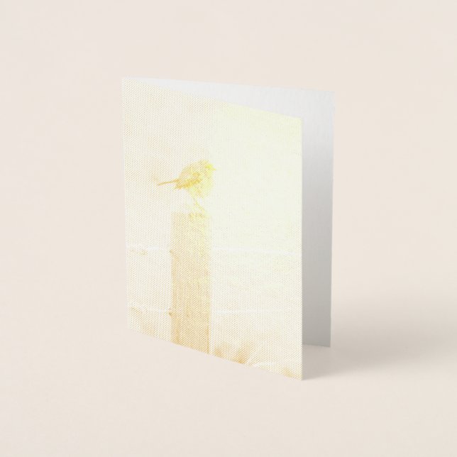 Winter Robin RedBrust Folienkarte (Vorderseite)