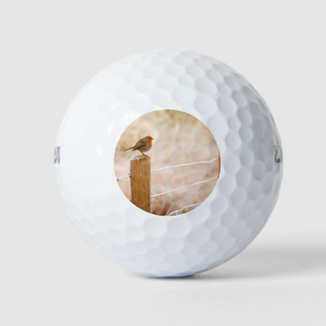 Winter Robin RedBrust Golfball (Vorderseite)