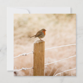 Winter Robin RedBrust Karte