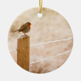Winter Robin RedBrust Keramik Ornament