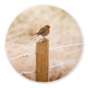 Winter Robin RedBrust Keramikknauf