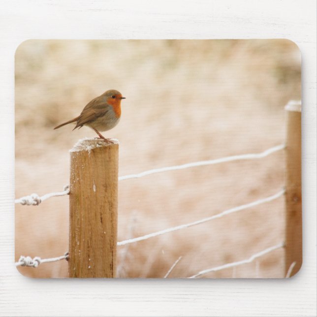 Winter Robin RedBrust Mousepad (Vorne)