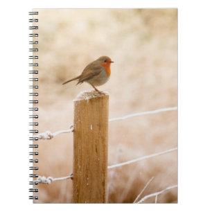 Winter Robin RedBrust Notizblock