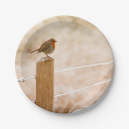 Winter Robin RedBrust Pappteller
