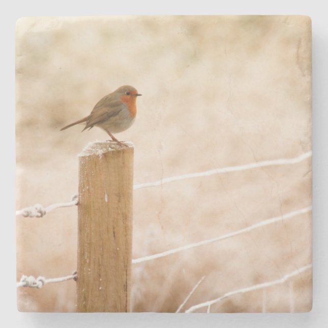 Winter Robin RedBrust Steinuntersetzer (Vorderseite)