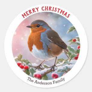 Winter Robin RedBrustfest Frohe Weihnachten Runder Aufkleber