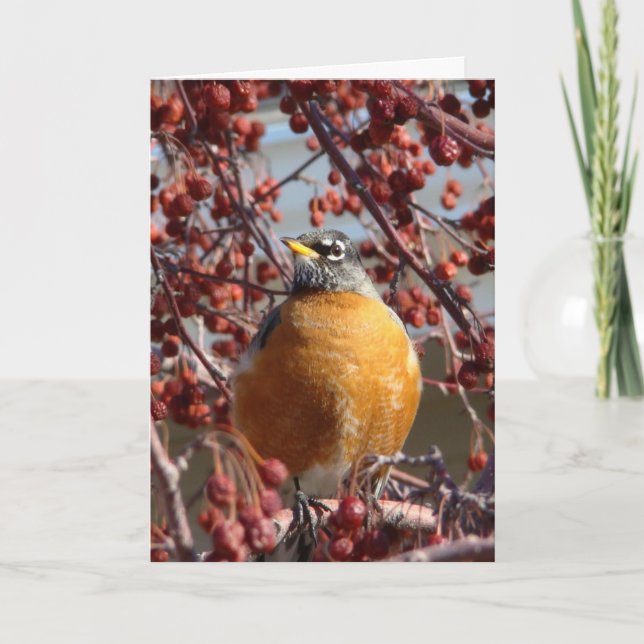 Winter Robin - Vatertag Karte (Vorderseite)