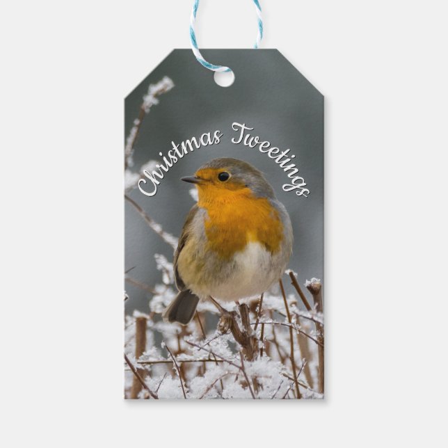 Winter Robin White Christmas | Holunder Rahmen Geschenkanhänger (Vorderseite)