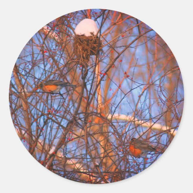 Winter Robins Wildlife Nature Runder Aufkleber (Vorderseite)