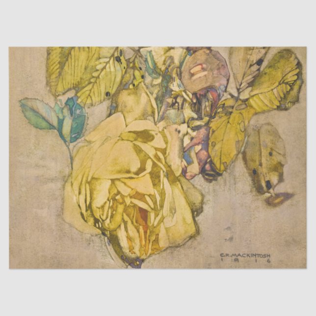 Winter-Rose von Charles Rennie Mackintosh Seidenpapier (Vorderseite)