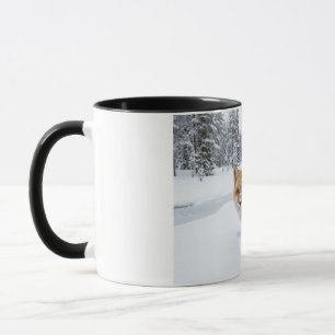 Winter-Rotfuchs-Tasse - Schneebedeckter Wald-Wildt Tasse