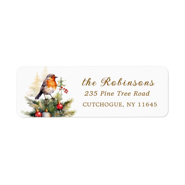 Winter-Rotkehlchen-Weihnachten  (Vorne)