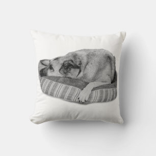 Winter-Rückzugsort, ruhiges Hundekissen Kissen