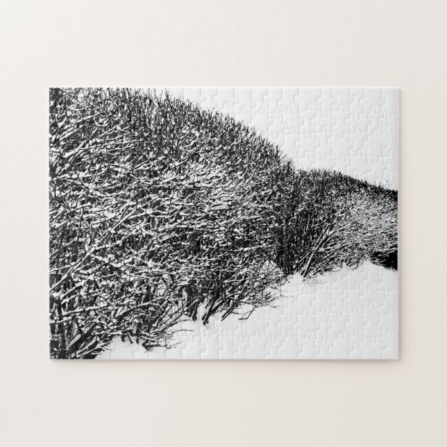 Winter’s Hedge Puzzle (Horizontal)