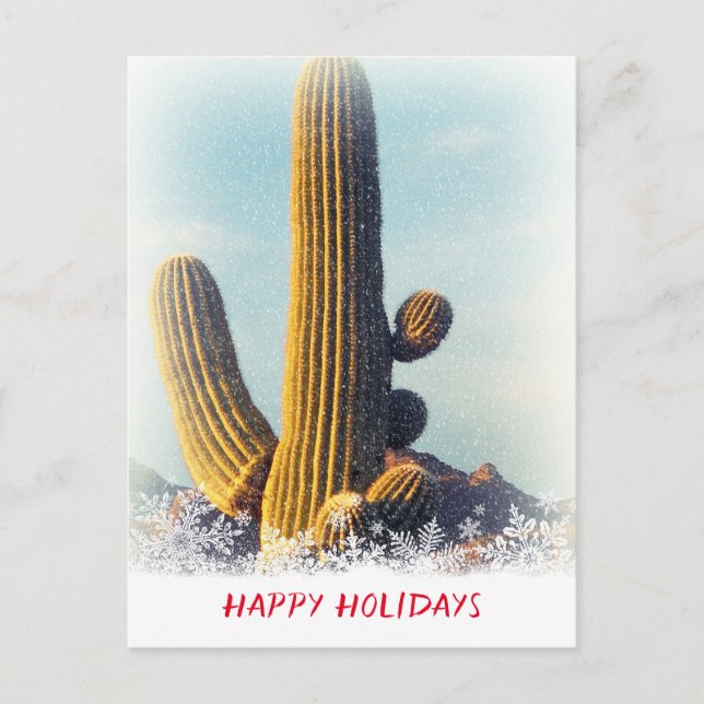 Winter Saguaro Scene Holiday Postcard Feiertagspostkarte (Vorderseite)