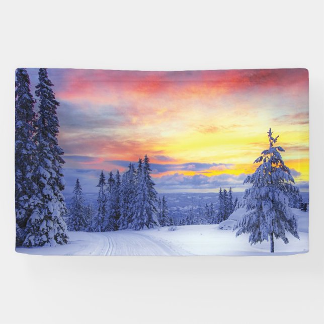 Winter scenery banner (Horizontal)