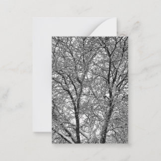 Winter-Schnee-Baumzweige Fotografie Mitteilungskarte