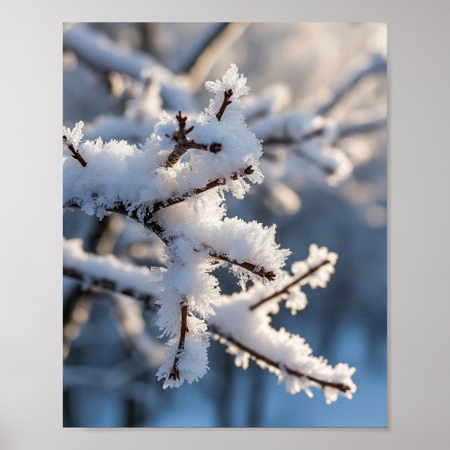 Winter-Schnee-Frostiger-Zweig-Sonnenlicht Poster (Vorne)