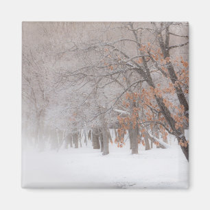 Winter Schnee Lake Kussharo Magnet