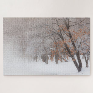 Winter Schnee   Lake Kussharo Puzzle