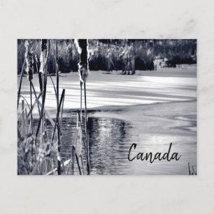 Winter-Schnee-Schatten Schwarz Weiß Kanada Souveni Postkarte