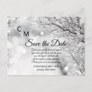 Winter-Schnee-Schneeflocken Hochzeit SAVE THE DATE Ankündigungspostkarte