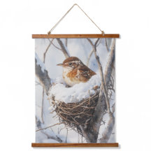 Winter-Schnee-Vogel-Zaunkönig-in-Baum-Nest-Natur-K