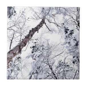 Winter Schneebäume Wald 1 Fliese