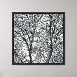 Winter-Schneebaumzweige Fotografie Leinwanddruck
