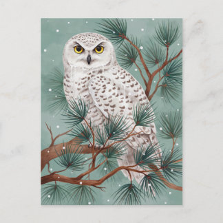 Winter-Schneeeule in Kiefernbaum-Kunst Postkarte