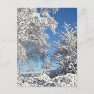 Winter Schneefall Postkarte