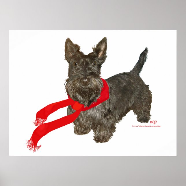 Winter Scottie in Wam Scarf Poster (Vorne)