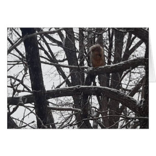 Winter Segen Urlaub Saisons wünscht Karte