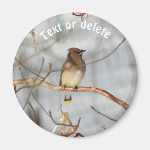Winter Seidenschwanz Wildlife Natur Personalisiert Magnet