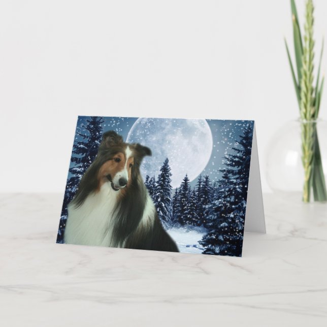 Winter Sheltie Karte (Vorderseite)