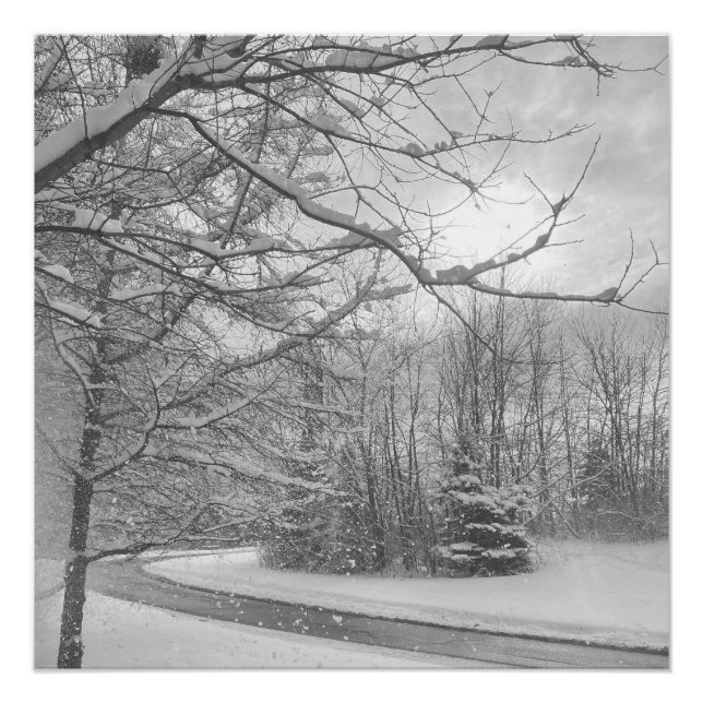 Winter Silence  Poster (Vorderseite)