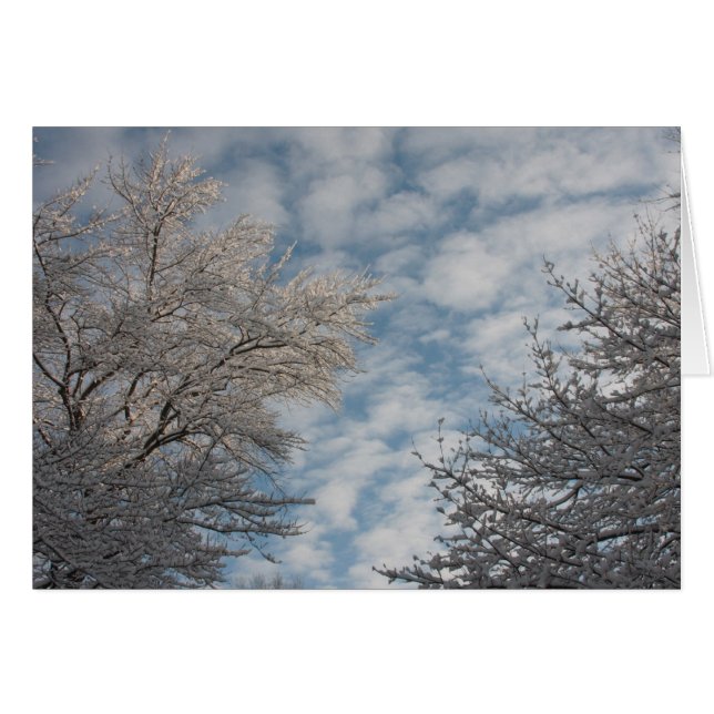 Winter Sky (Vorderseite (Horizontal))
