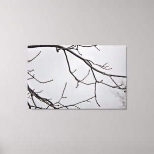 Winter Sky Leinwand Print