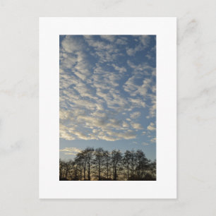 Winter Sky Postkarte