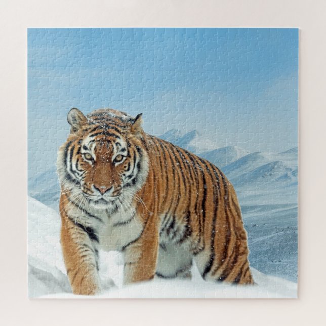 Winter Snow Tiger Mountains Tierisches Foto Trendy Puzzle (Horizontal)