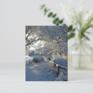 Winter Snowfall Postkarte