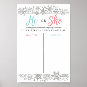 Winter Snowflake Gender offenbaren Stimmzeichen Poster