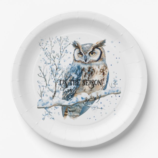 Winter Snowflakes Blue Owl Christmas Snow Pappteller (Vorderseite)