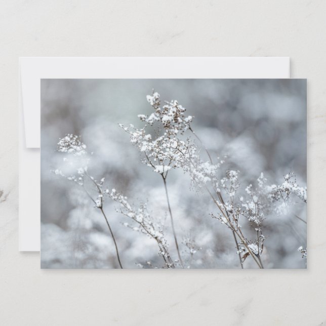 Winter Softness, snowy Feiertagskarte (Vorderseite)