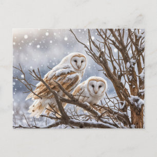 Winter Solstice Weihnachten Owls Snow