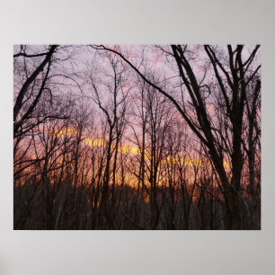 Winter Sonnenaufgang II Poster