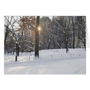 Winter-Sonnenlicht-Central Park