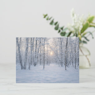 Winter-Sonnenlicht im stillen Birkenwald Begleitkarte